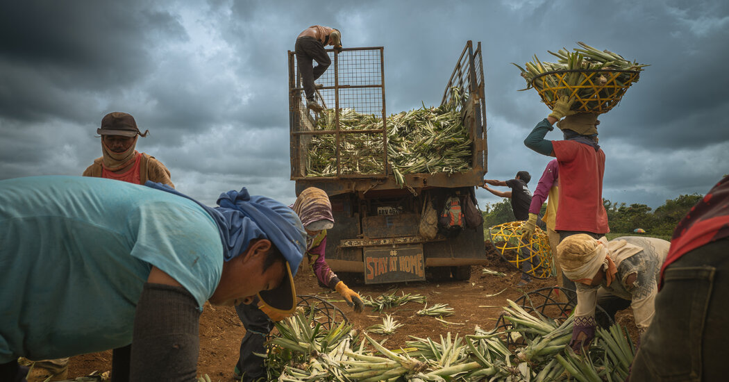 Philippine Poverty and Farm-Based Economy Have Roots in Colonial Era