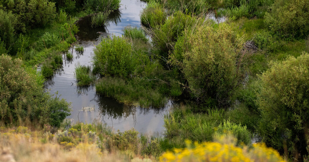 Study Finds Small Streams, Recently Stripped of Protections, Are a Big Deal