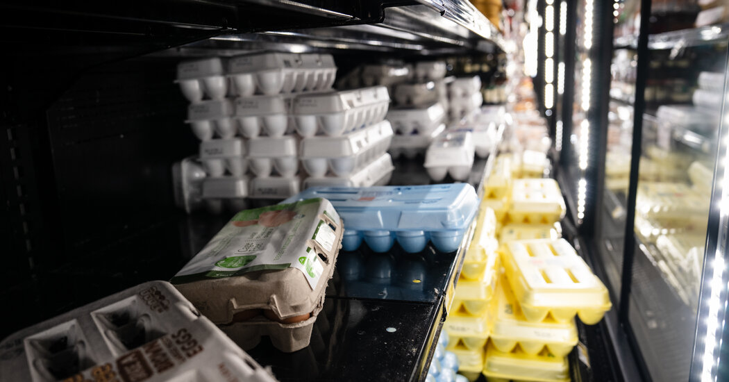 Why Is Egg Shopping So Unpredictable?