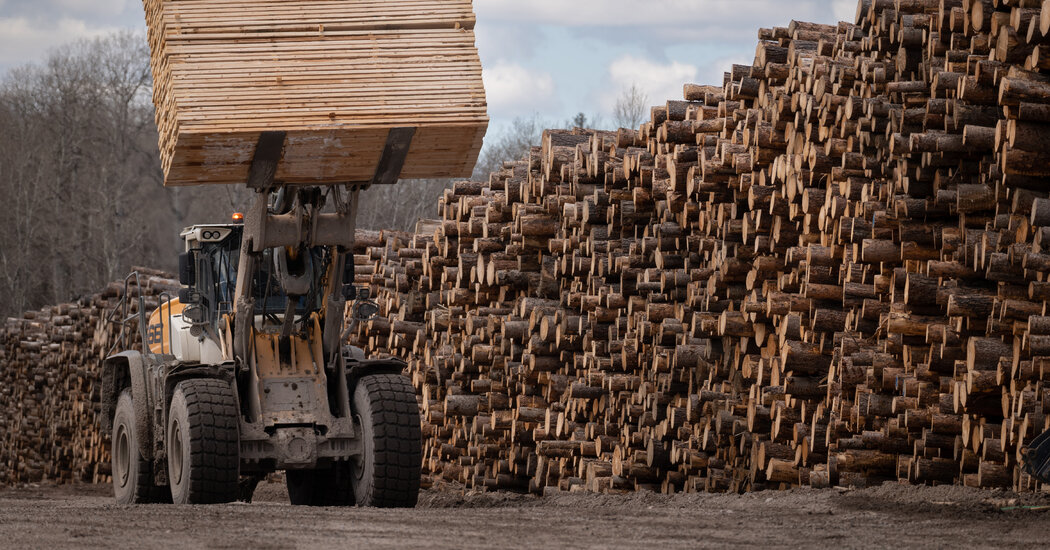 Trump Picks Another Trade Fight With Canada Over Lumber