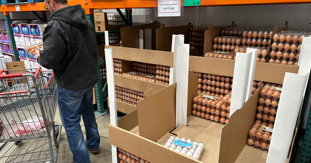 U.S. Investigates Egg Producers Over Soaring Prices